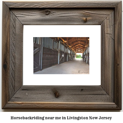 horseback riding near me in Livingston, New Jersey